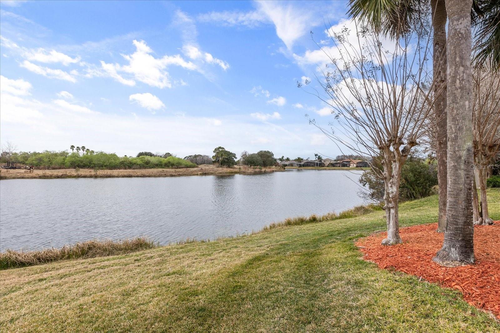 KINGS POINTE - Residential