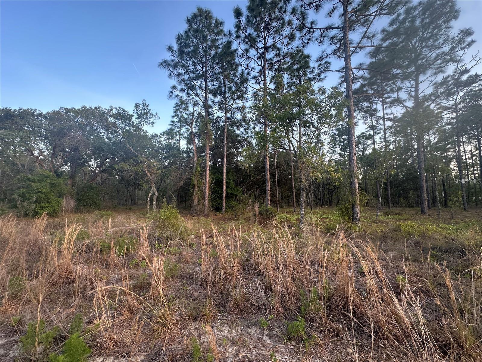 RAINBOW LAKES ESTATE - Land