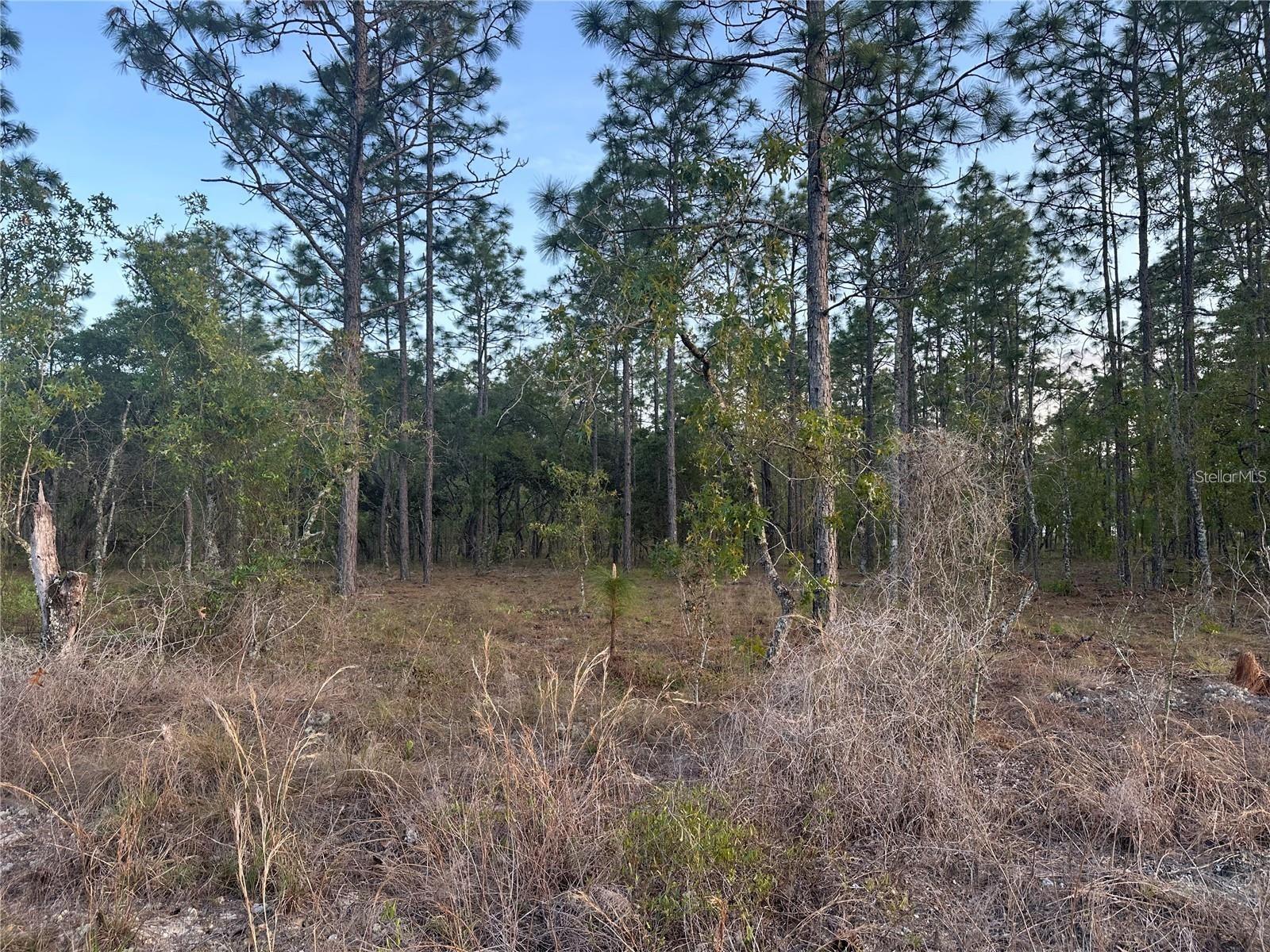 RAINBOW LAKES ESTATE - Land
