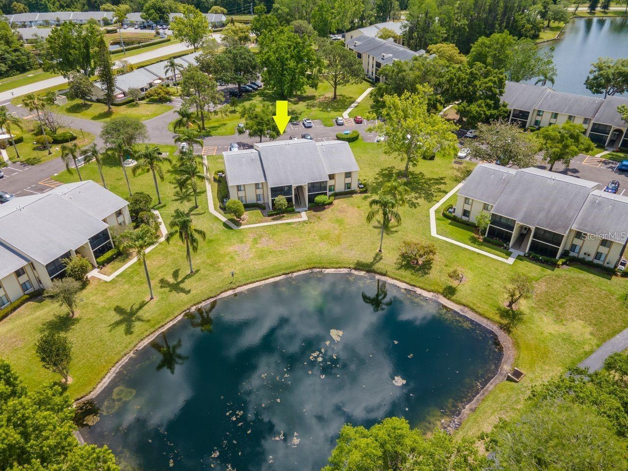 PINE RIDGE AT LAKE TARPON VILLAGE - Residential