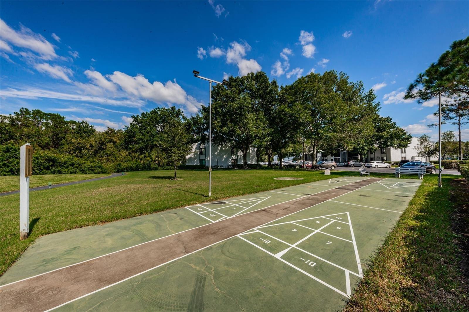 PINE RIDGE AT LAKE TARPON VILLAGE - Residential