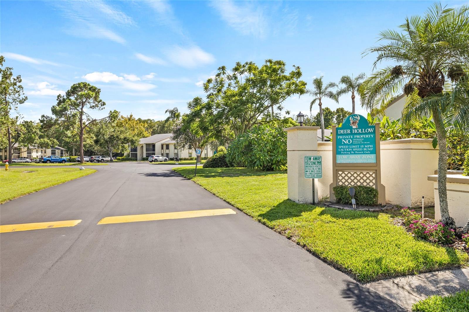 PINE RIDGE AT LAKE TARPON VILLAGE - Residential