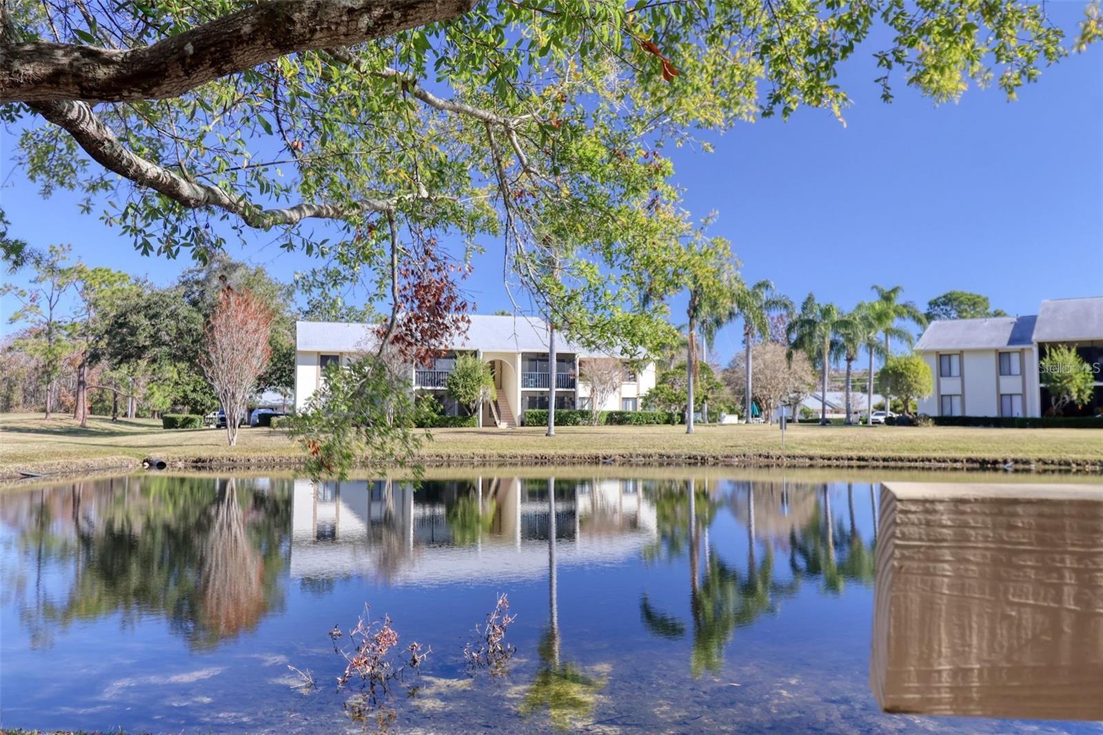 PINE RIDGE AT LAKE TARPON VILLAGE - Residential