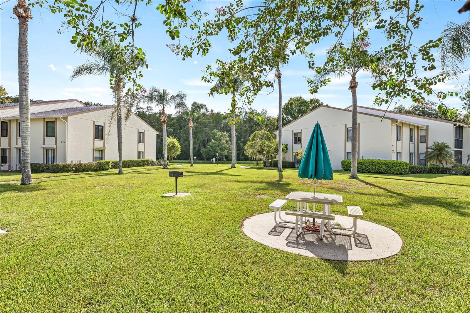 PINE RIDGE AT LAKE TARPON VILLAGE - Residential