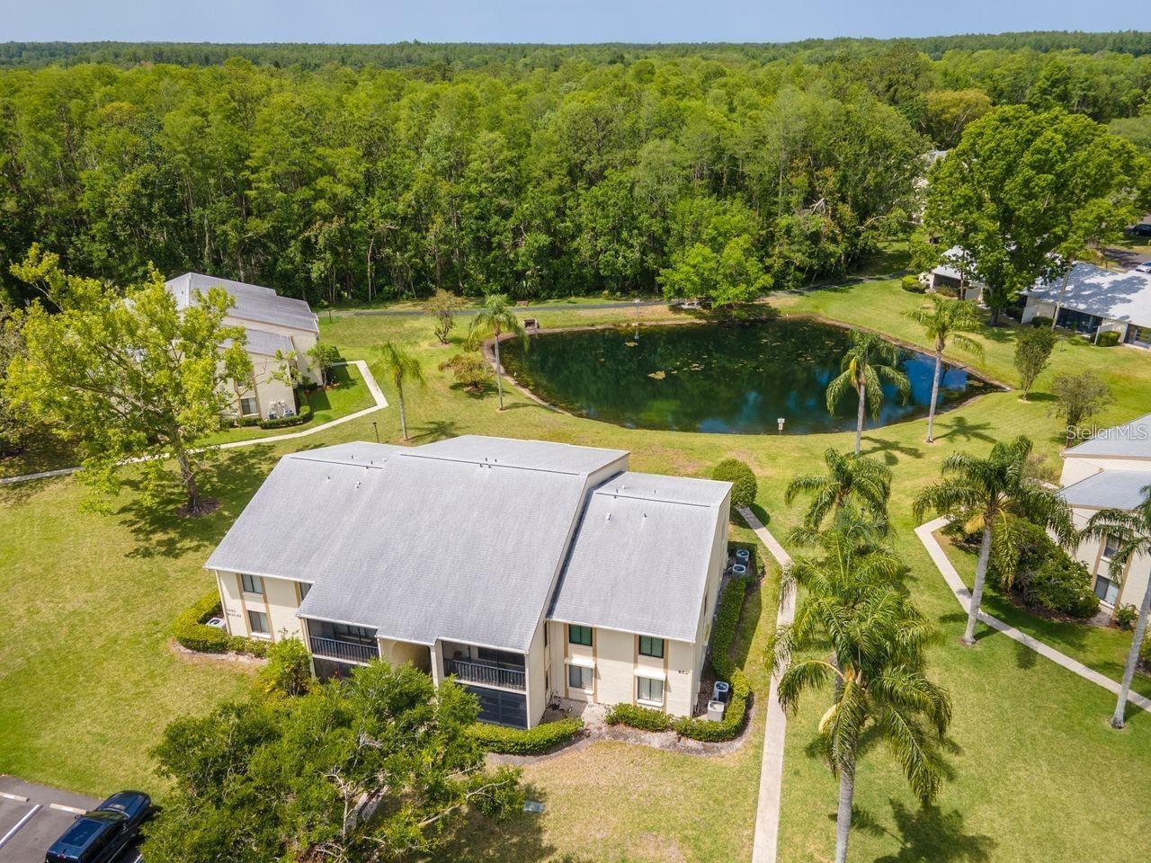 PINE RIDGE AT LAKE TARPON VILLAGE - Residential