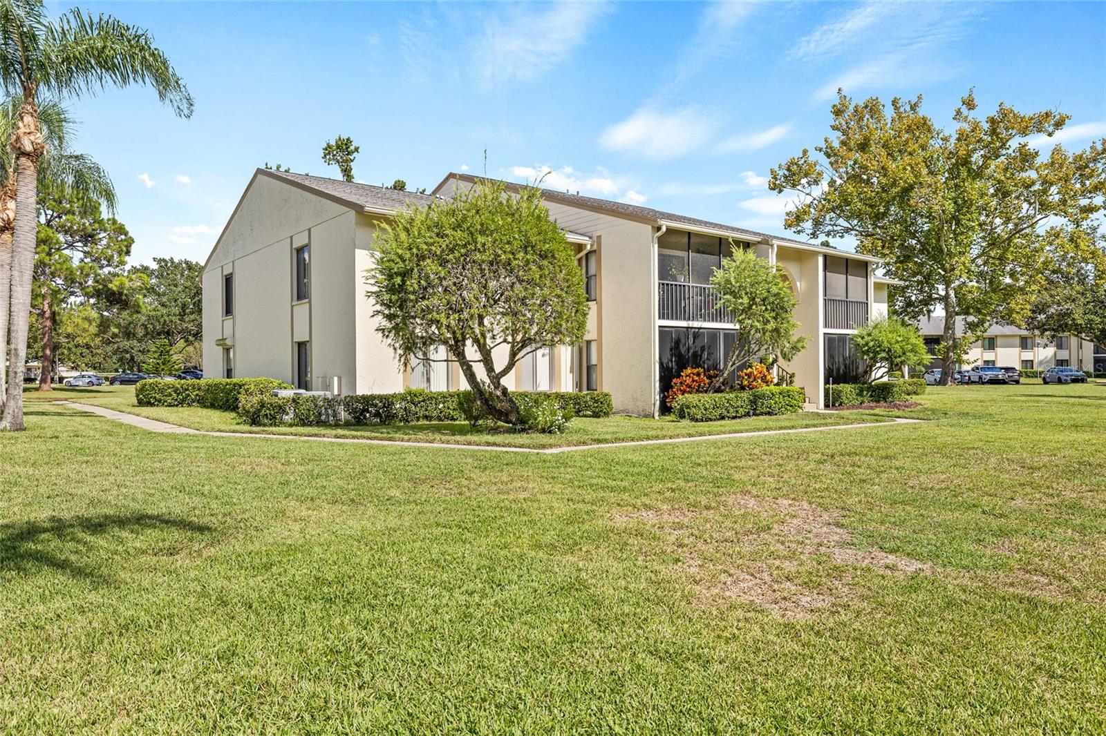 PINE RIDGE AT LAKE TARPON VILLAGE - Residential