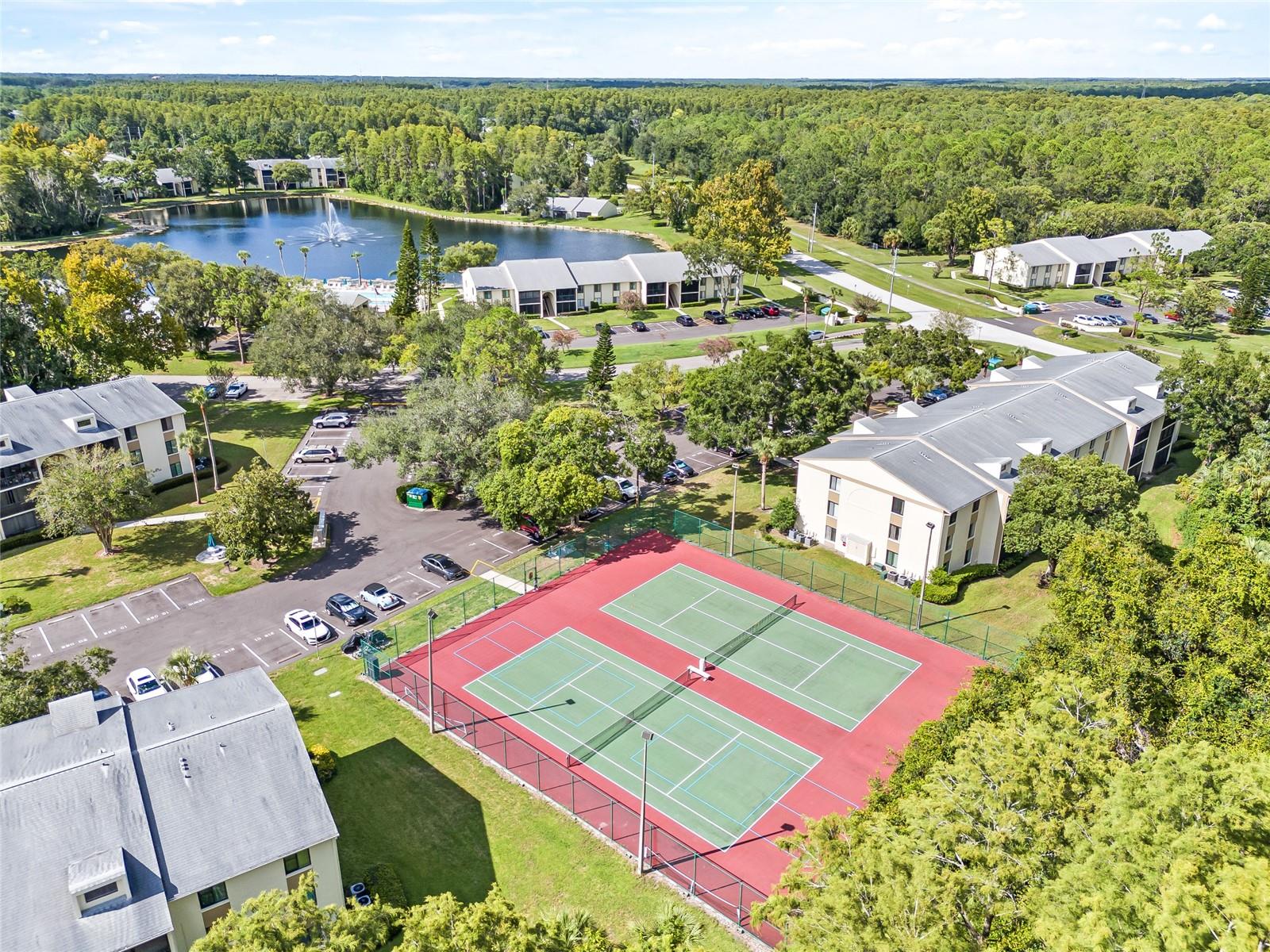 PINE RIDGE AT LAKE TARPON VILLAGE - Residential