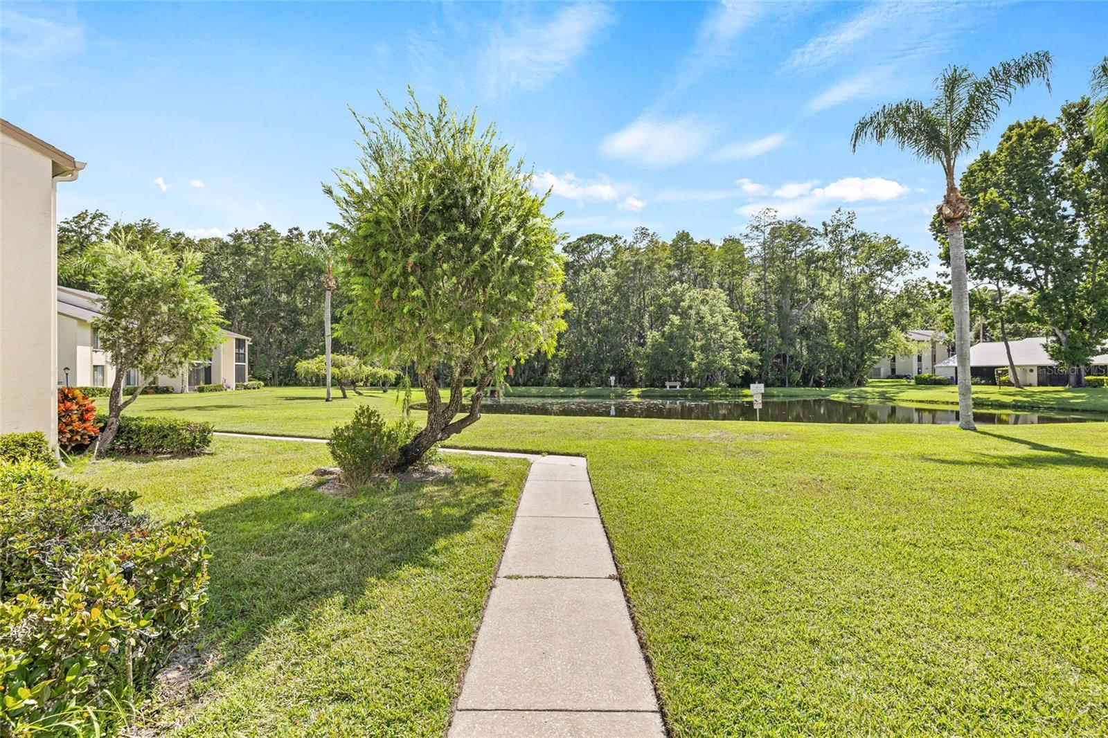 PINE RIDGE AT LAKE TARPON VILLAGE - Residential