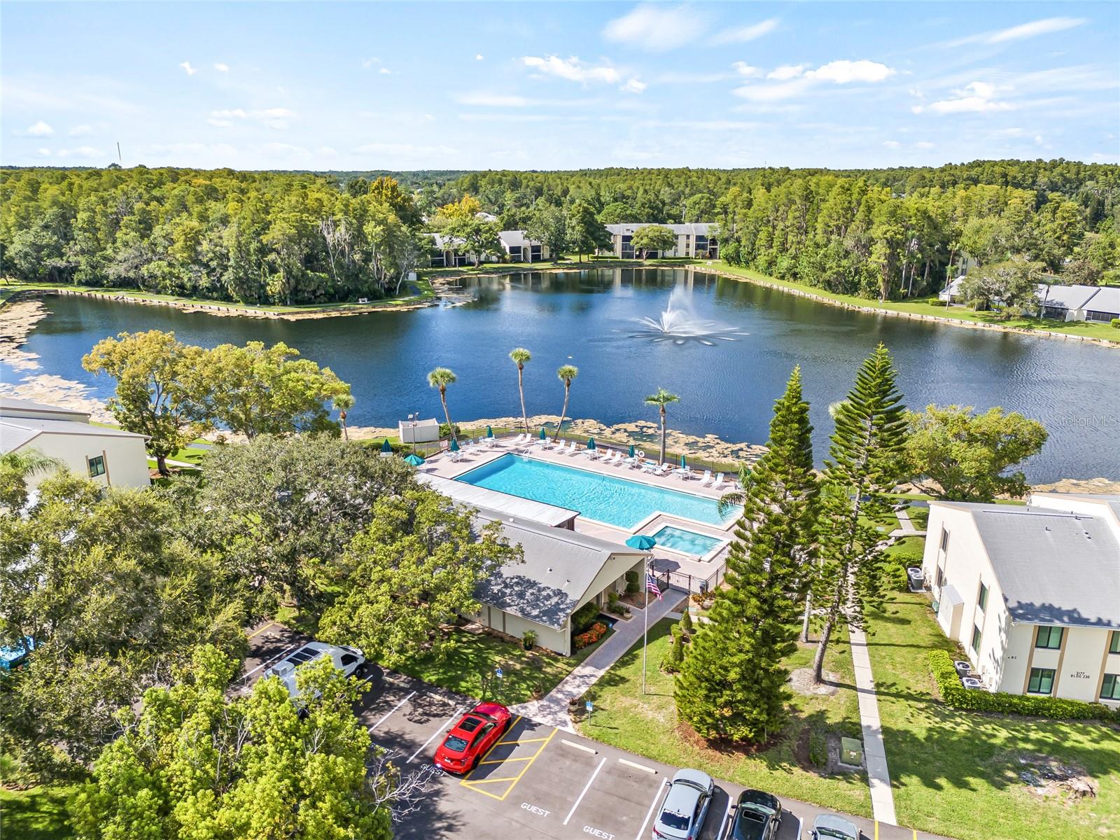 PINE RIDGE AT LAKE TARPON VILLAGE - Residential