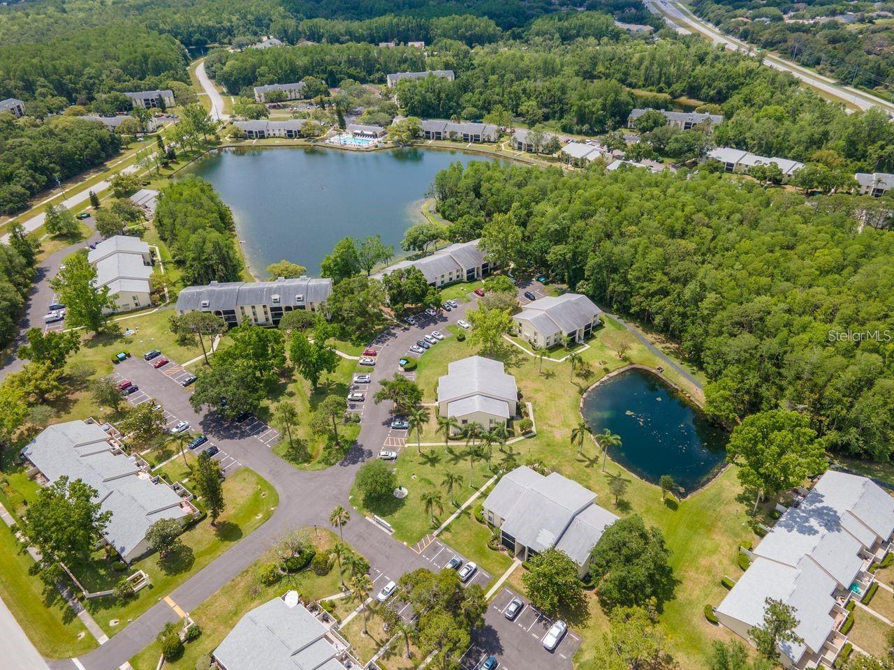 PINE RIDGE AT LAKE TARPON VILLAGE - Residential