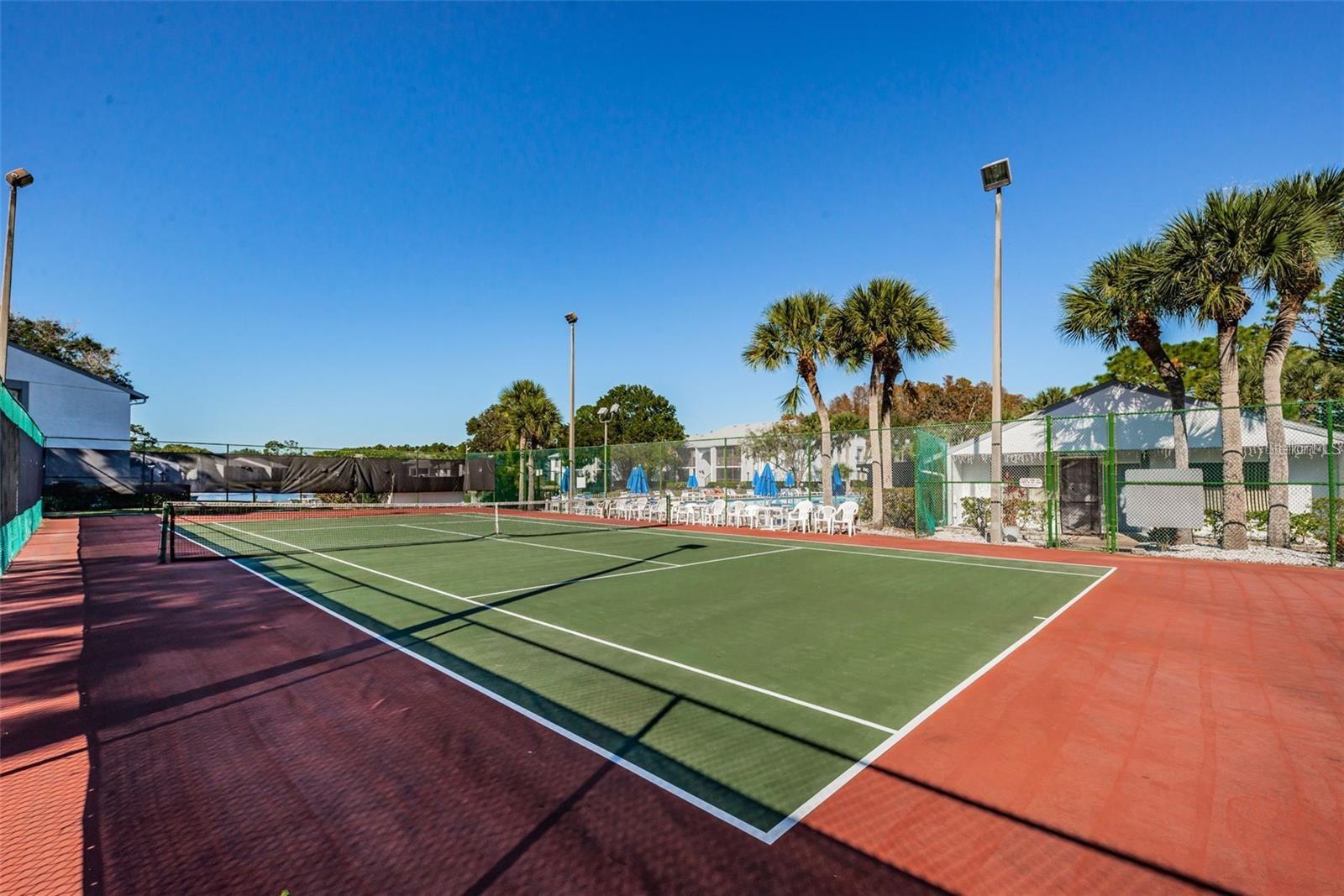 PINE RIDGE AT LAKE TARPON VILLAGE - Residential