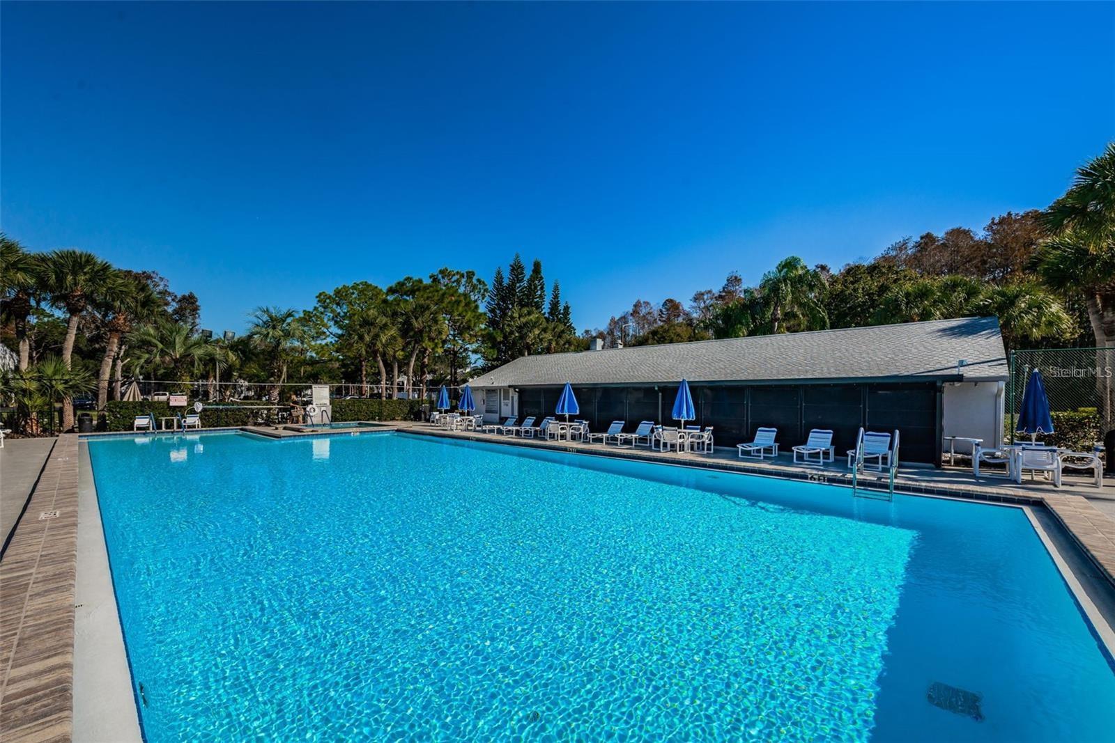 PINE RIDGE AT LAKE TARPON VILLAGE - Residential