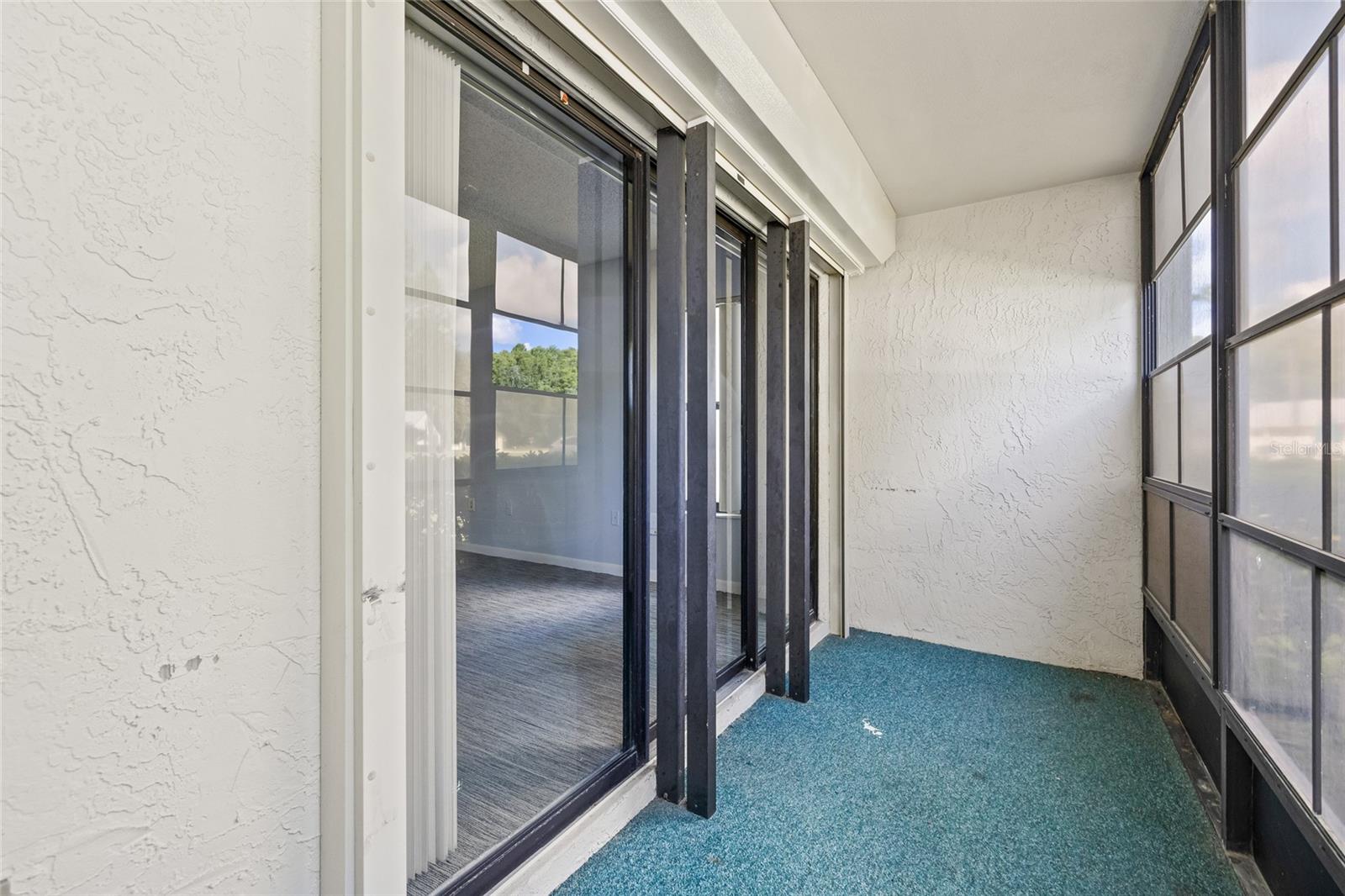 PINE RIDGE AT LAKE TARPON VILLAGE - Residential