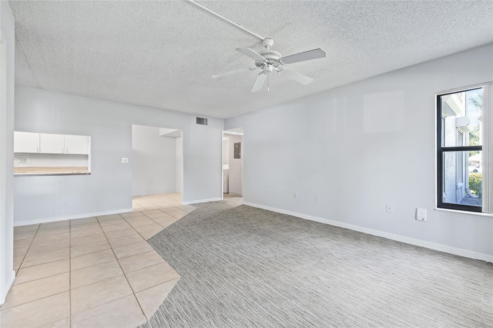 PINE RIDGE AT LAKE TARPON VILLAGE - Residential