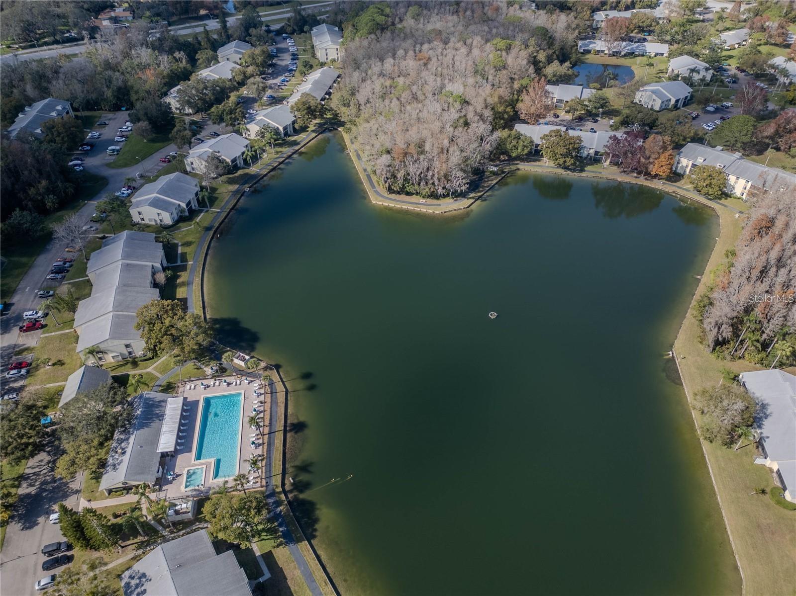 PINE RIDGE AT LAKE TARPON VILLAGE - Residential