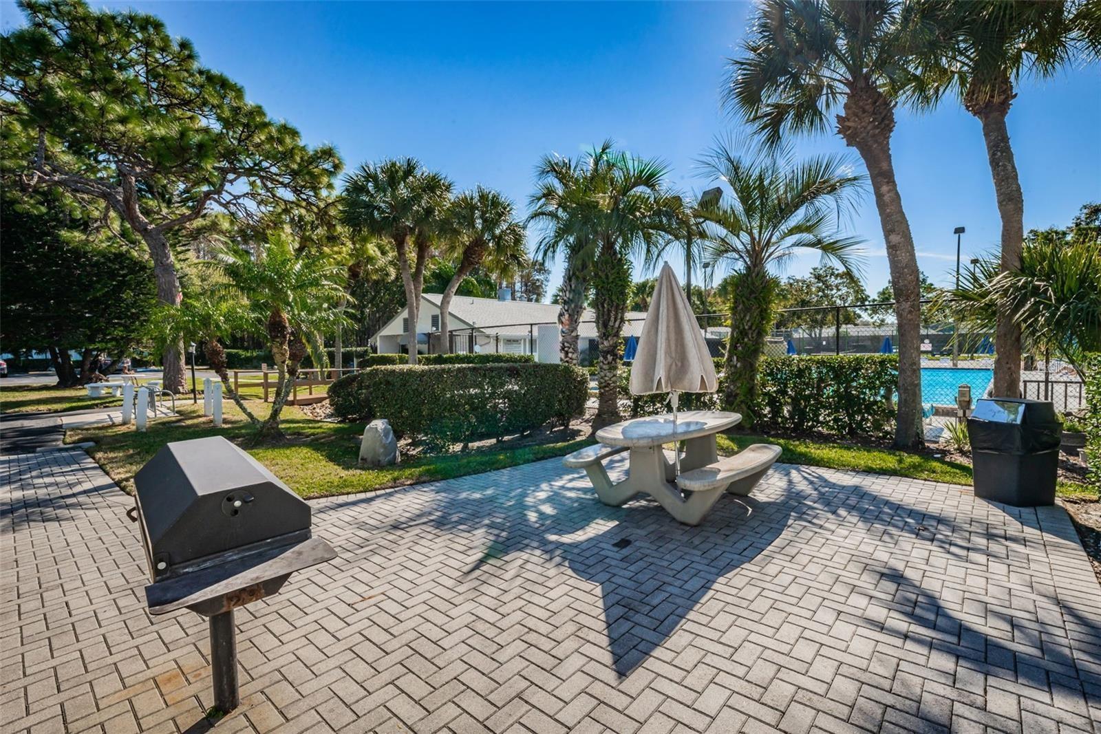 PINE RIDGE AT LAKE TARPON VILLAGE - Residential