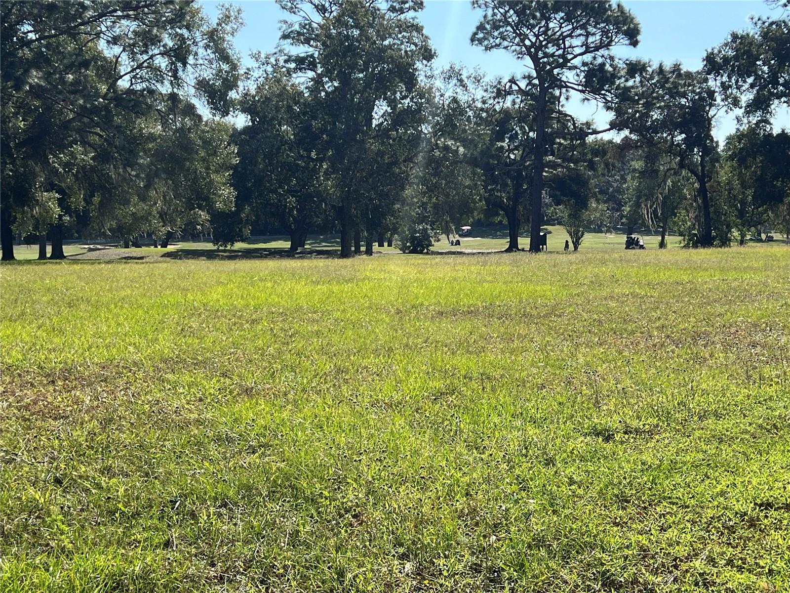 CITRUS SPRINGS UNIT 04 - Residential