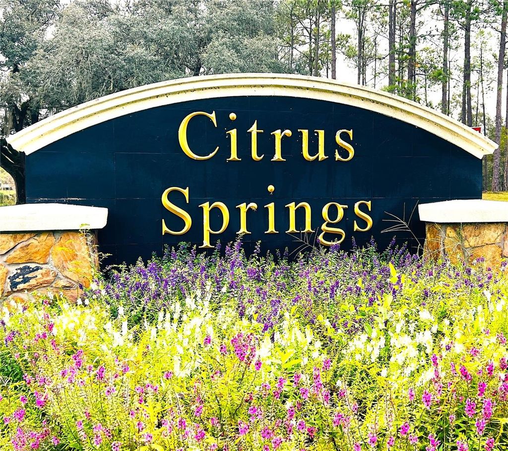 Photo of 8929 N Elkcam Boulevard, Citrus Springs, FL 34433 (MLS # OM711460)