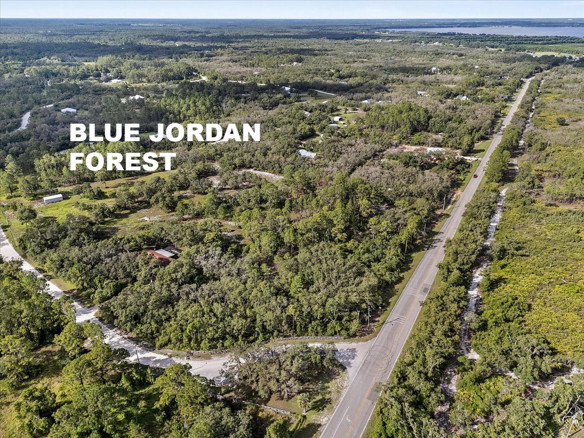 BLUE JORDAN ROAD