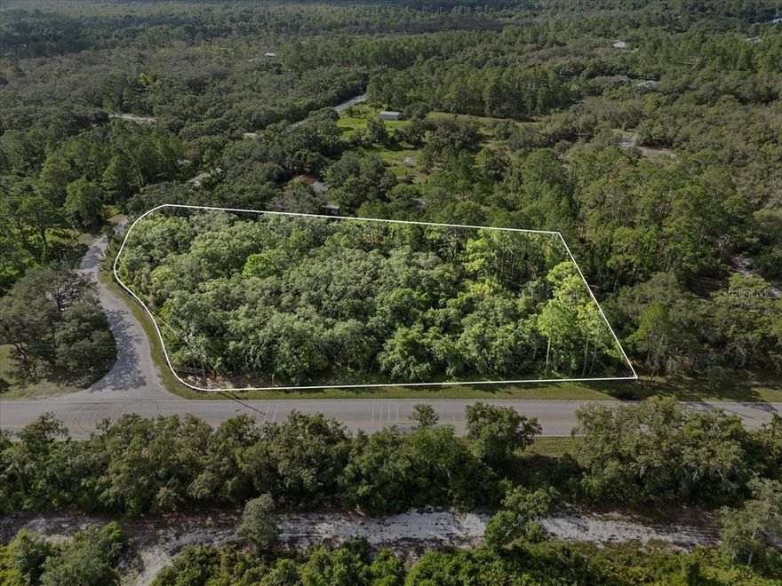 2.46 acre homesite bordering Blue Jordan Forest and across the street from Lake Wales Ridge State Forest in scenic Frostproof, Florida—an ideal setting for those seeking peace, privacy, and the beauty of natural surroundings. Situated on a county-maintained road and directly bordering the Blue Jordan Forest community, this property offers a rare opportunity to live among some of Florida’s most pristine and tranquil wilderness.

With over 300 feet of road frontage, 420 feet across the back, and approximately 250 feet deep, there’s ample space to design a custom home, garden, workshop, or whatever your lifestyle requires. No HOA means less restriction and more freedom to create the property you've always imagined.

Located in Polk County and nestled between Lake Clinch and Lake Reedy, Frostproof is a welcoming small town known for its laid-back charm and inviting downtown. Outdoor enthusiasts will love being near Lake Wales Ridge State Forest with its scenic hiking trails and rare native plants, as well as the expansive Walk-In-The-Water Wildlife Management Area, which offers 6,000+ acres for hiking, hunting, fishing, and camping.

Whether you're planning a permanent residence, a weekend escape, or an investment in Florida land, this beautiful acreage offers a unique blend of seclusion, accessibility, and natural Florida appeal.