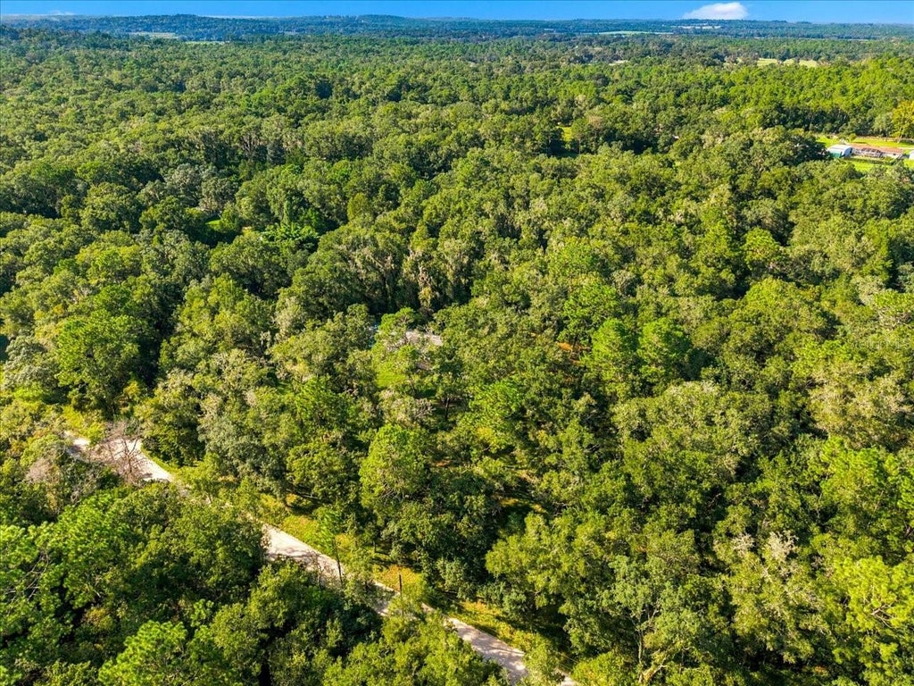 Photo of 24403 Mccaw Road, Brooksville, FL 34601 (MLS # W7889836)