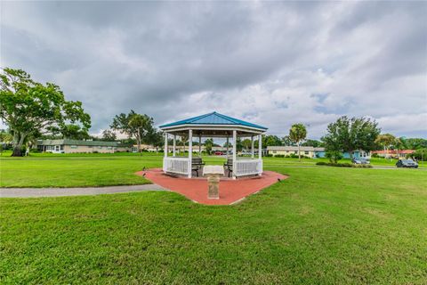 A home in SUN CITY CENTER