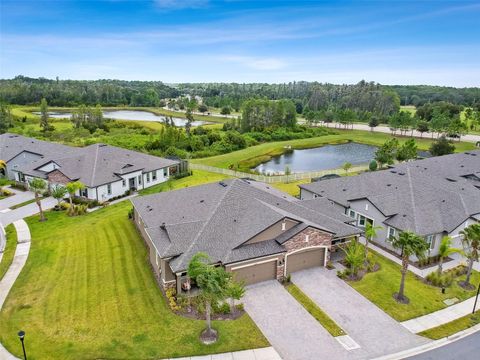 19370 HAWK VALLEY DRIVE TAMPA FL 33647