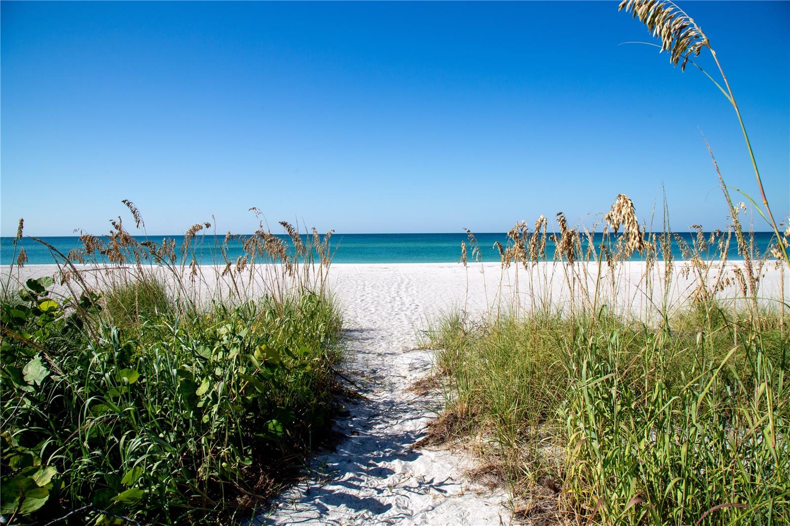 BAILEY-DOBSON - Residential