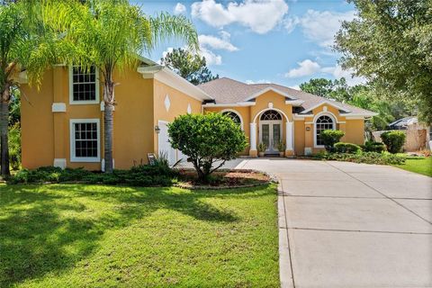 A home in PALM COAST