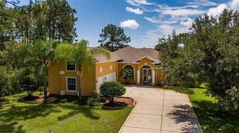 A home in PALM COAST