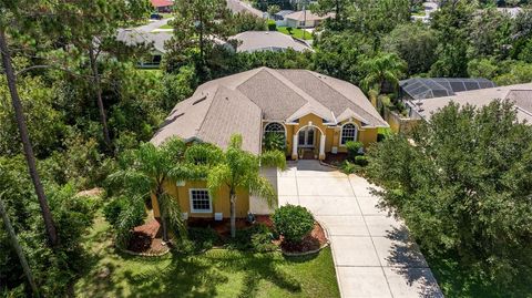 A home in PALM COAST