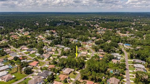 A home in PALM COAST