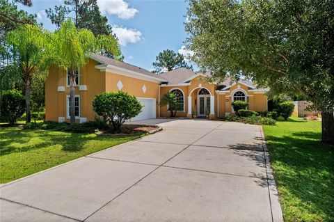 A home in PALM COAST