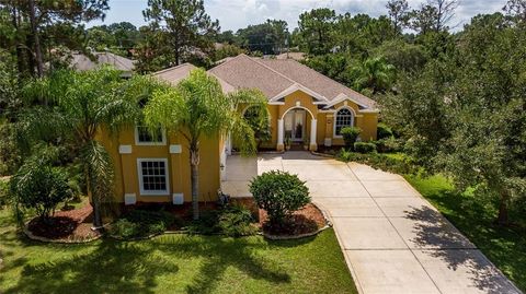 A home in PALM COAST