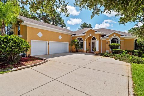 A home in PALM COAST