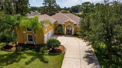 A home in PALM COAST