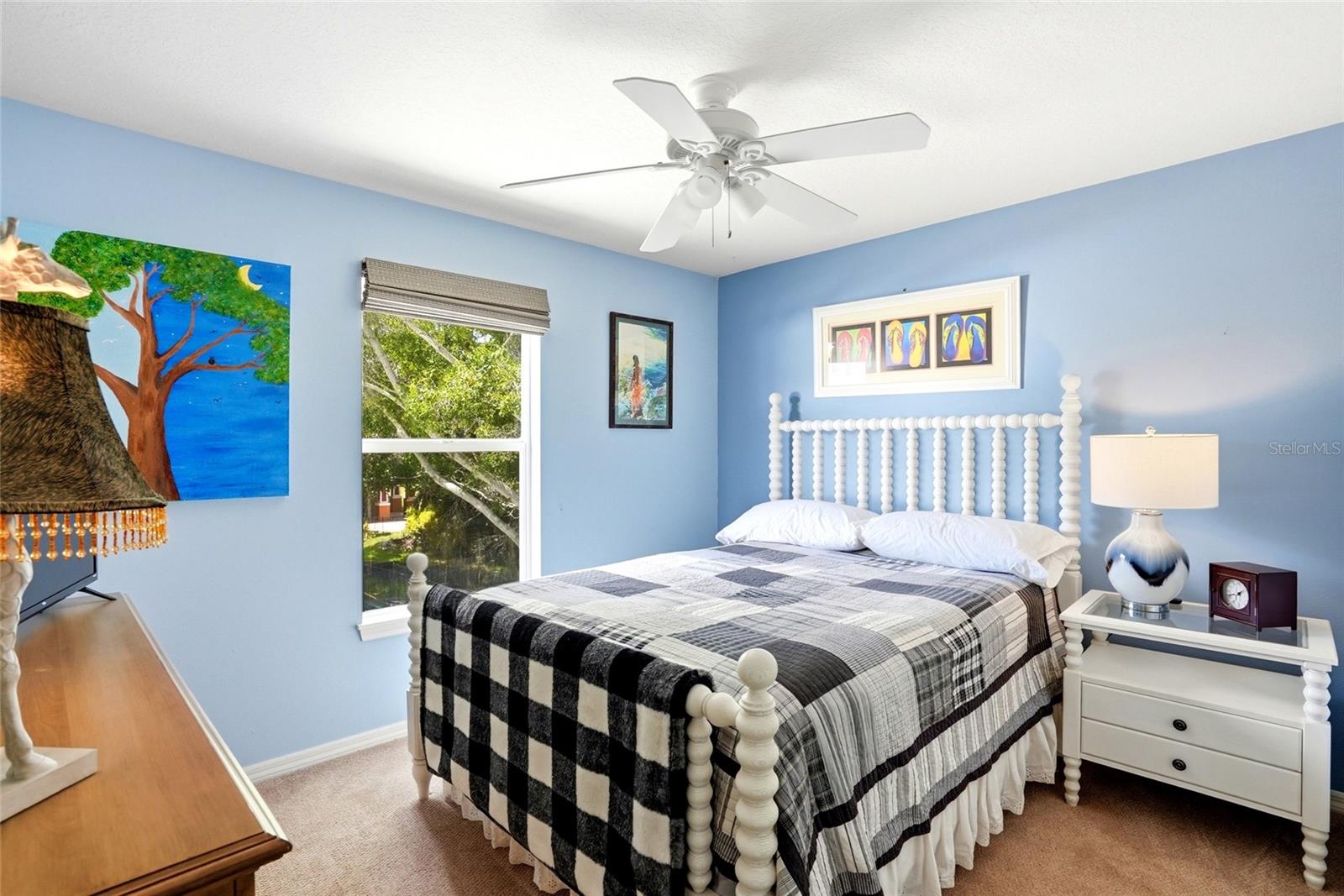 PINELLAS GROVES - Residential