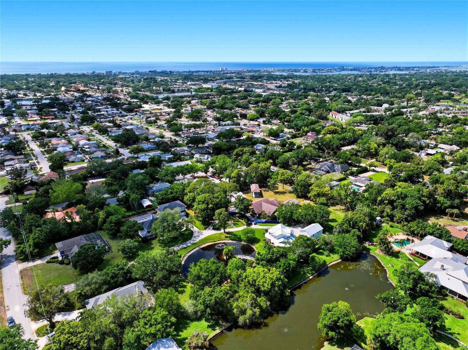 PINELLAS GROVES - Residential