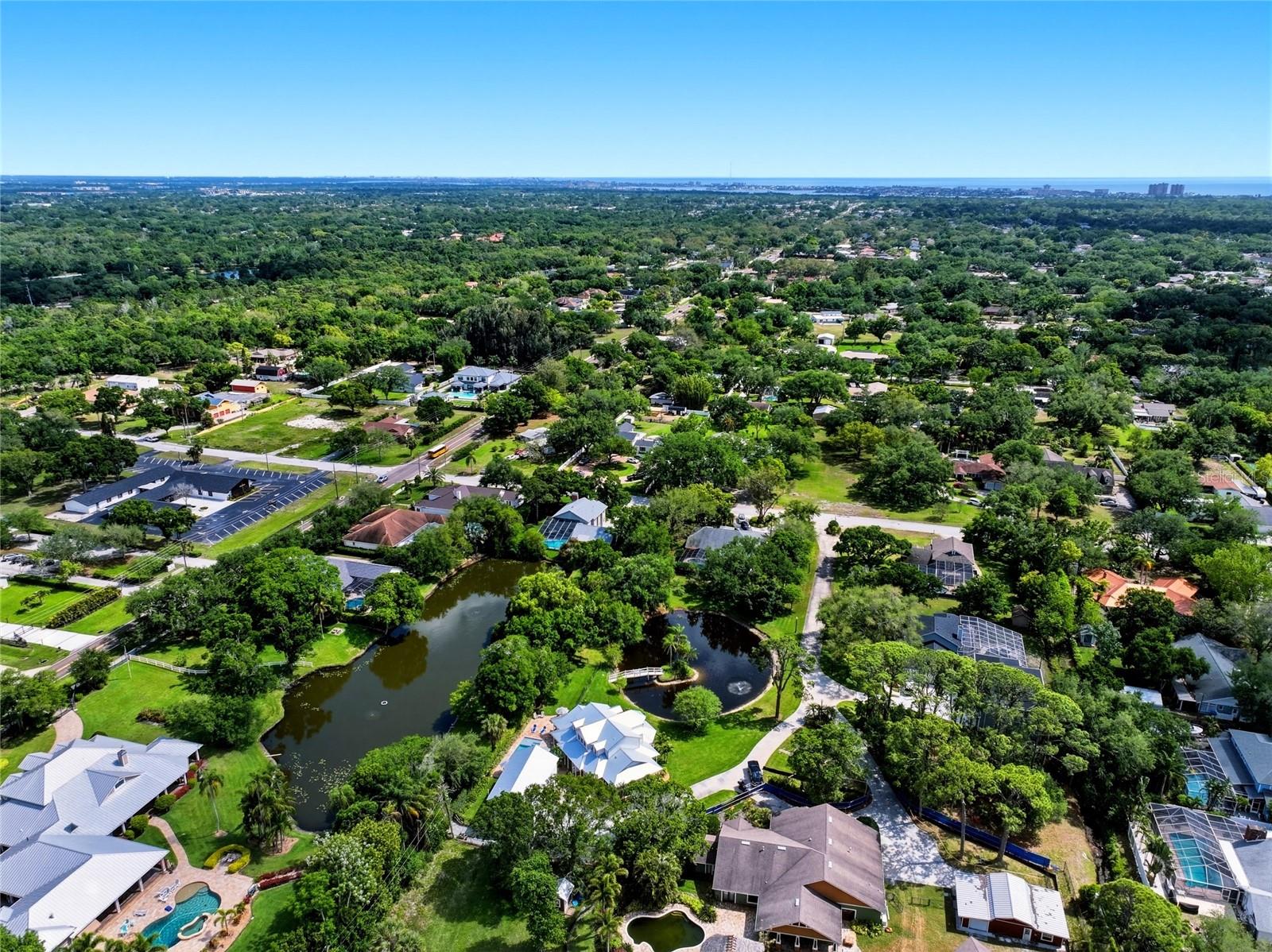 PINELLAS GROVES - Residential