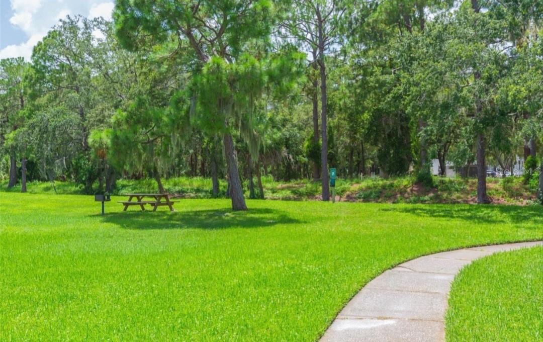 ENCLAVE AT ST PETERSBURG - Residential Lease