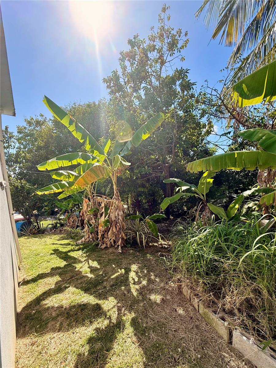 114 ROUTE 901 KM 2.0