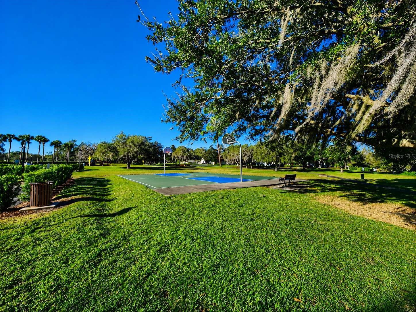 SANCTUARY AT COBBS LANDING THE - Residential