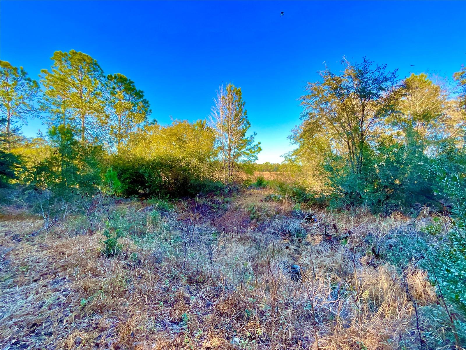 LADY SLIPPER LAKE GARDENS - Land