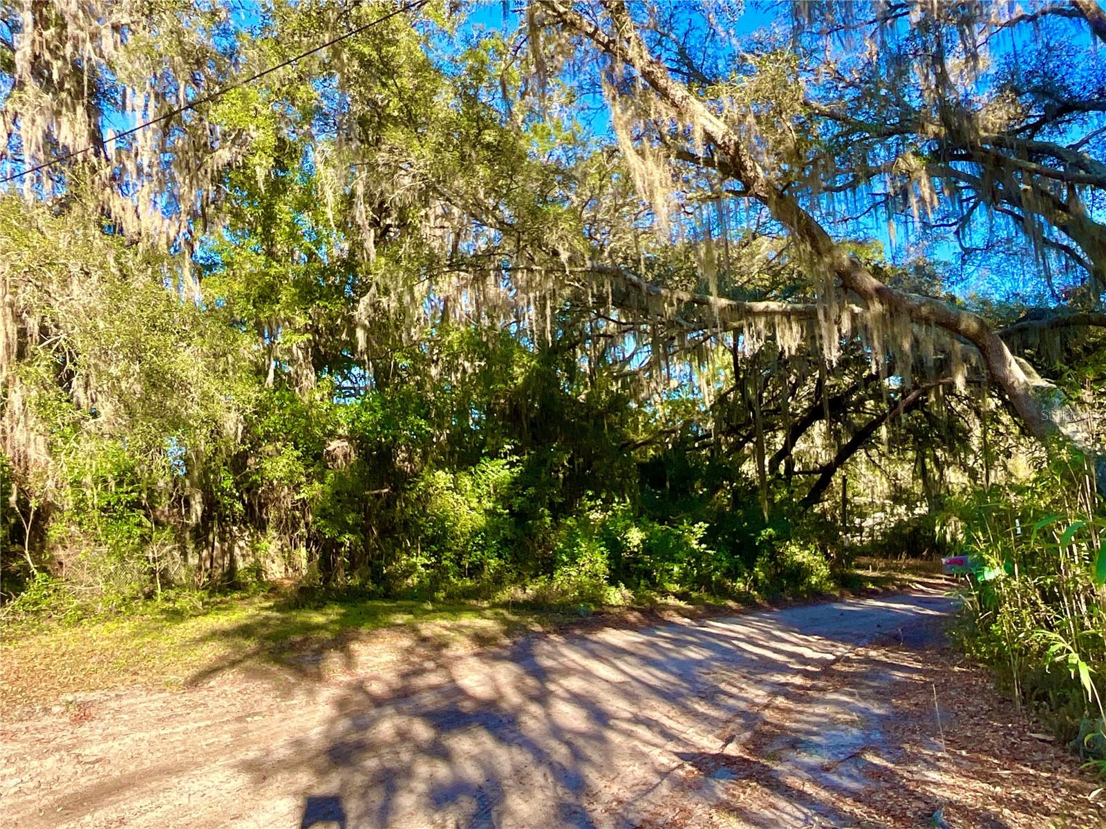 LADY SLIPPER LAKE GARDENS - Land