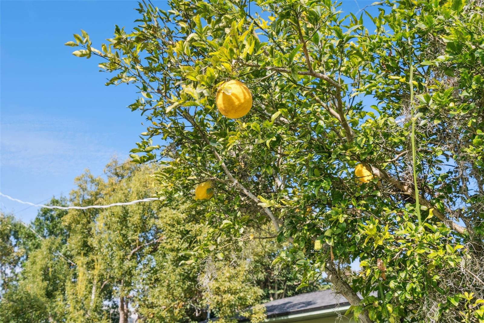 LAKE FRONT ADD TO TOWN OF ST CLOUD - Residential