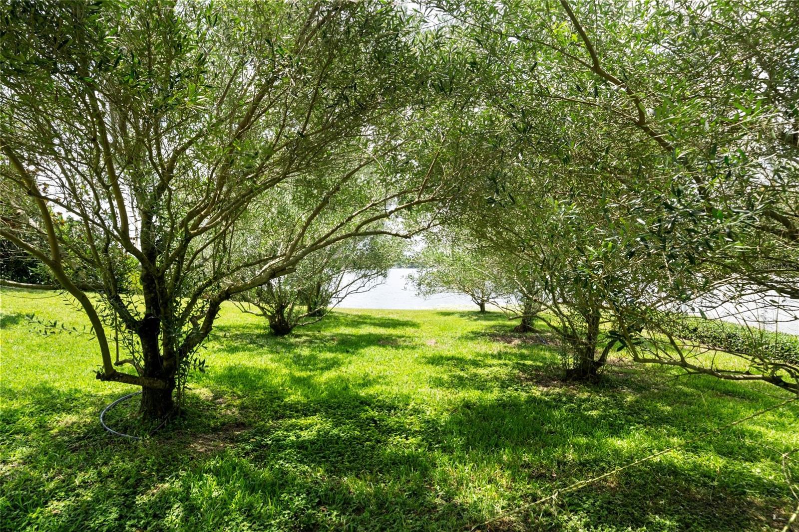 EL OTIS PARK SUB - Residential