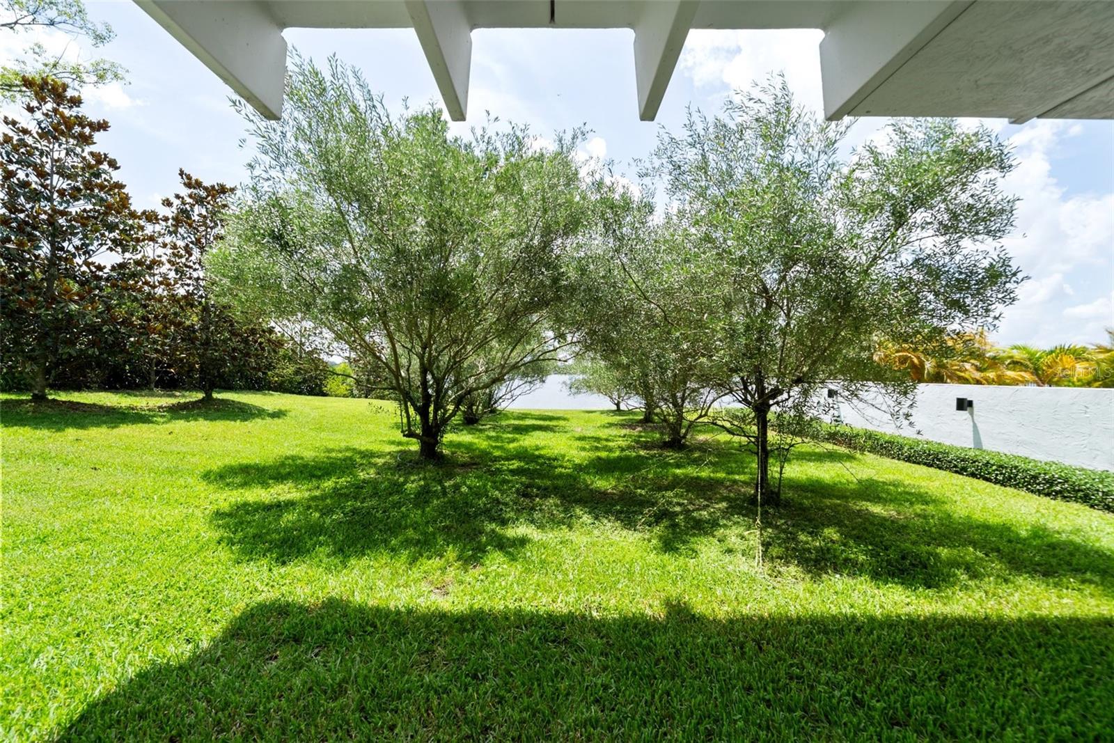 EL OTIS PARK SUB - Residential