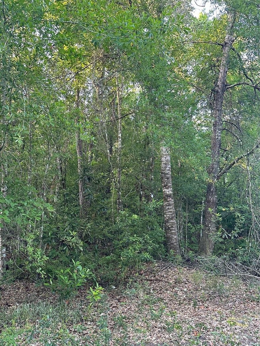 5 acre of land.  Currently land locked.