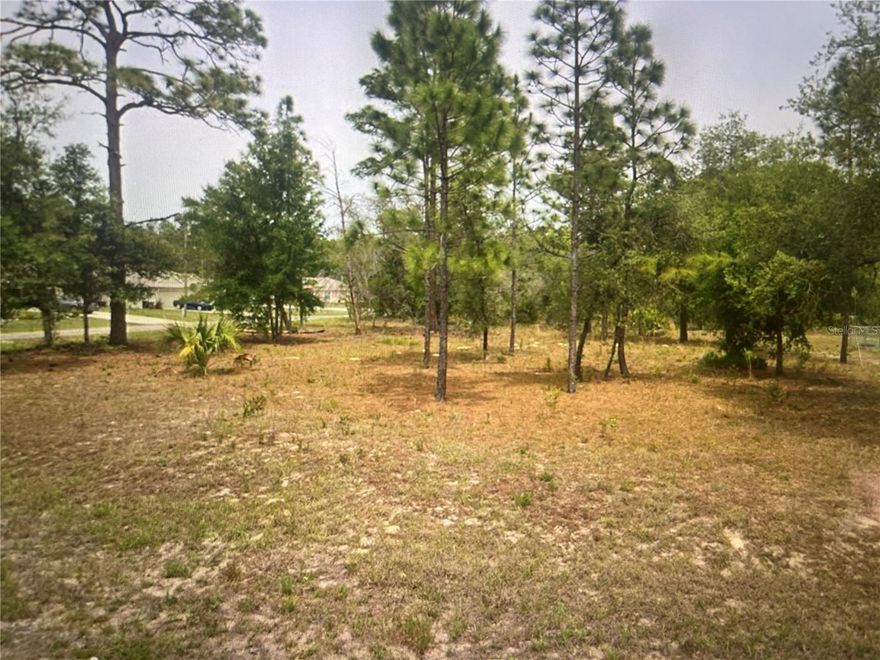 Come build your dream home on this .34 acre CORNER LOT
in beautiful Citrus Springs. This lot already has electric
and water on site ( Just needs to be connected) and is located on a quiet side street close to
everything. Enjoy the nearby Withlacoochee State Trail system for
walking, hiking and biking or tube and kayak down the local Rainbow
River. The lot is level and already partially cleared. Dont miss out on
this ideal location for your home or next investment. Back on the Market- Buyers relocation plans have changed.