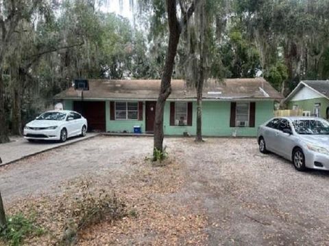 A home in MOUNT DORA